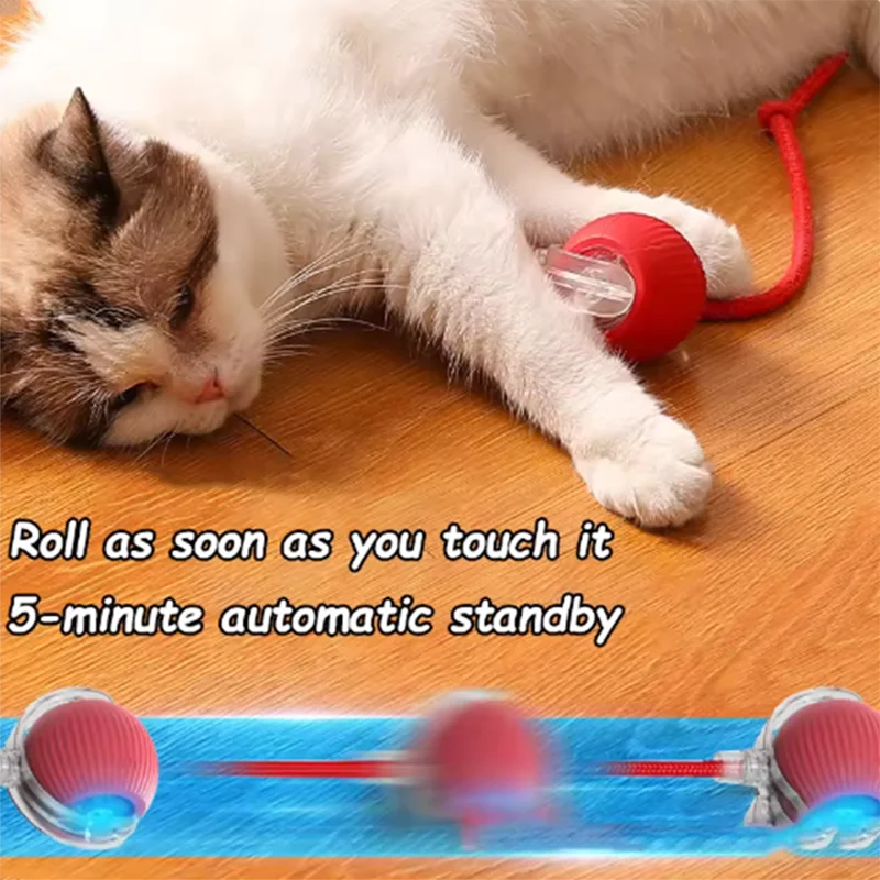 Interactive Automatic Cat Toy Ball & Teaser