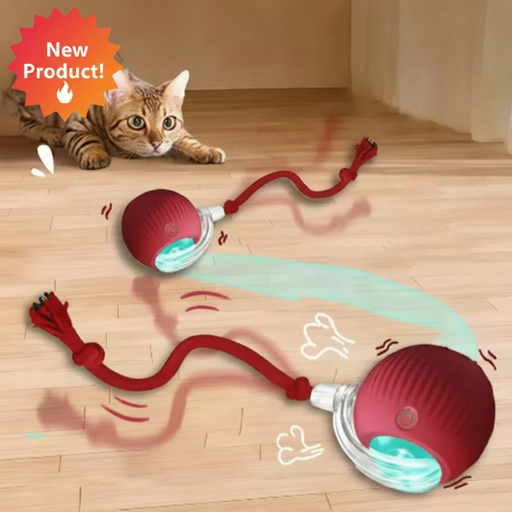Interactive Automatic Cat Toy Ball & Teaser