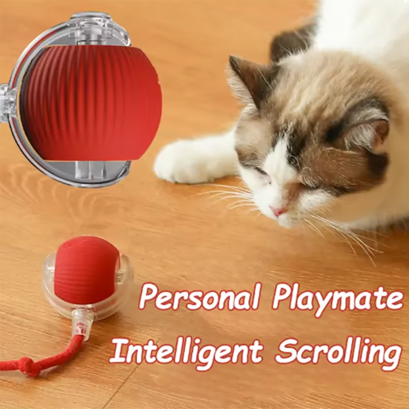 Interactive Automatic Cat Toy Ball & Teaser
